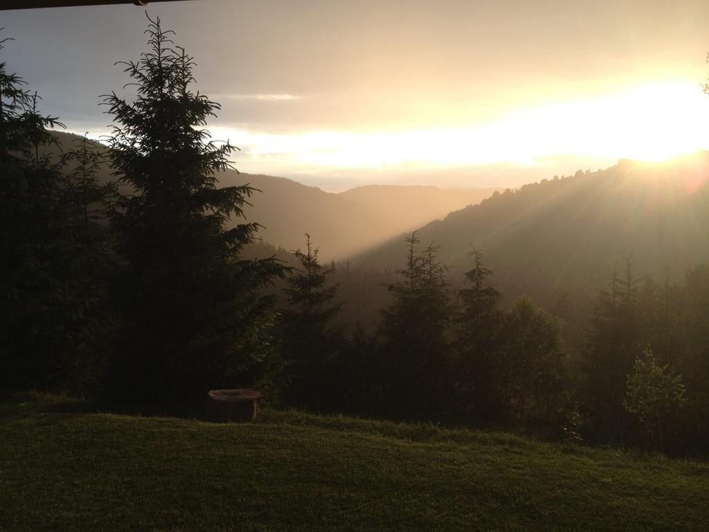 Kings Valley - Sunny Botesti คึมเปนี ภายนอก รูปภาพ