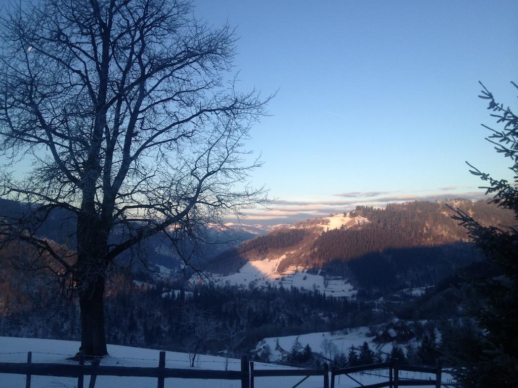Kings Valley - Sunny Botesti คึมเปนี ภายนอก รูปภาพ