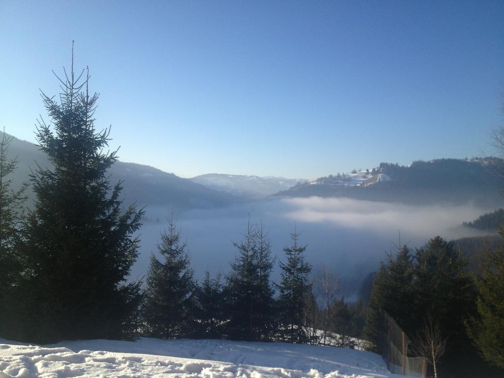 Kings Valley - Sunny Botesti คึมเปนี ภายนอก รูปภาพ